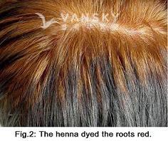 250731140954_Hair-Dying with henna-s.jpg